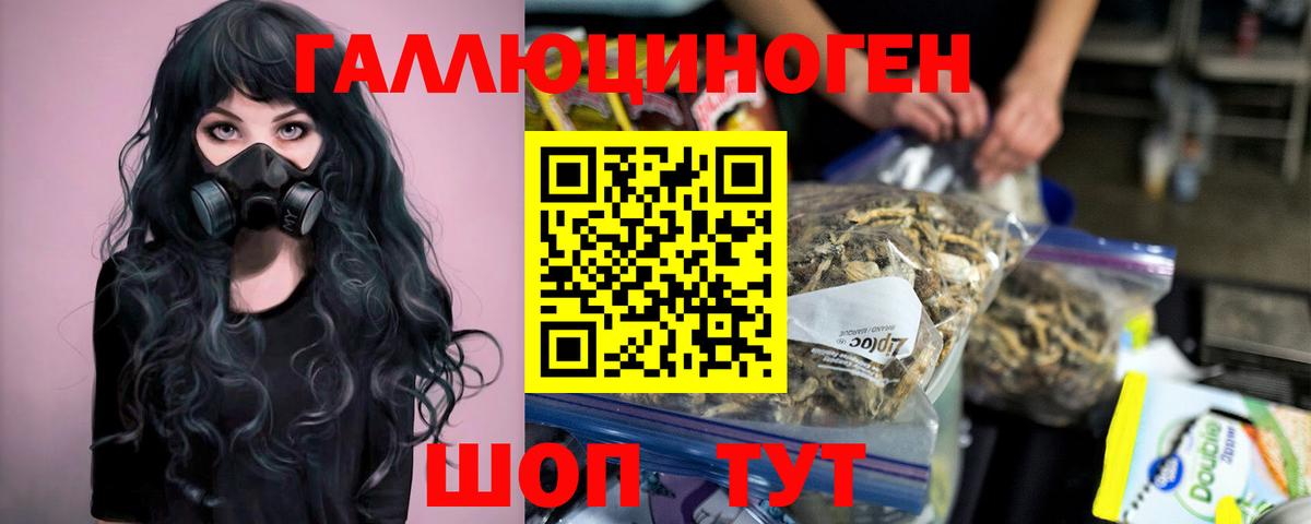 Псилоцибиновые грибы Psilocybe Армавир